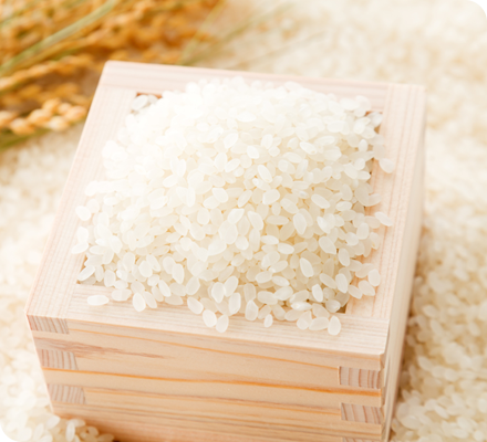 特別栽培米コシヒカリ（無農薬、無化学肥料）